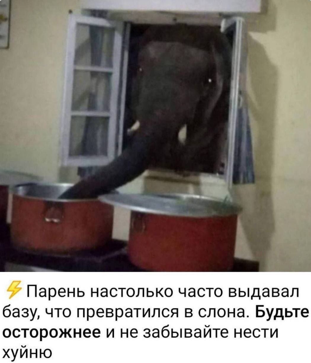 Парень настолько часто выдавал базу, что превратился в слона. Будьте осторожнее и не забывайте нести хуйню