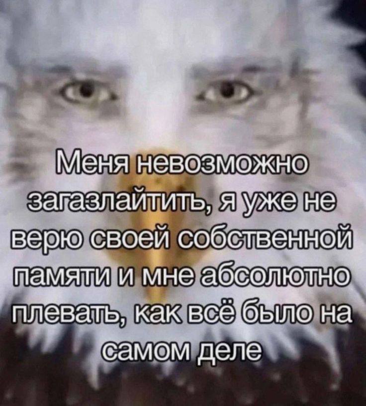 Меня невозможно загазлаитить, я уже не верю своей собственной памяти и мне абсолютно плевать. как всё: ‘было на самом деле