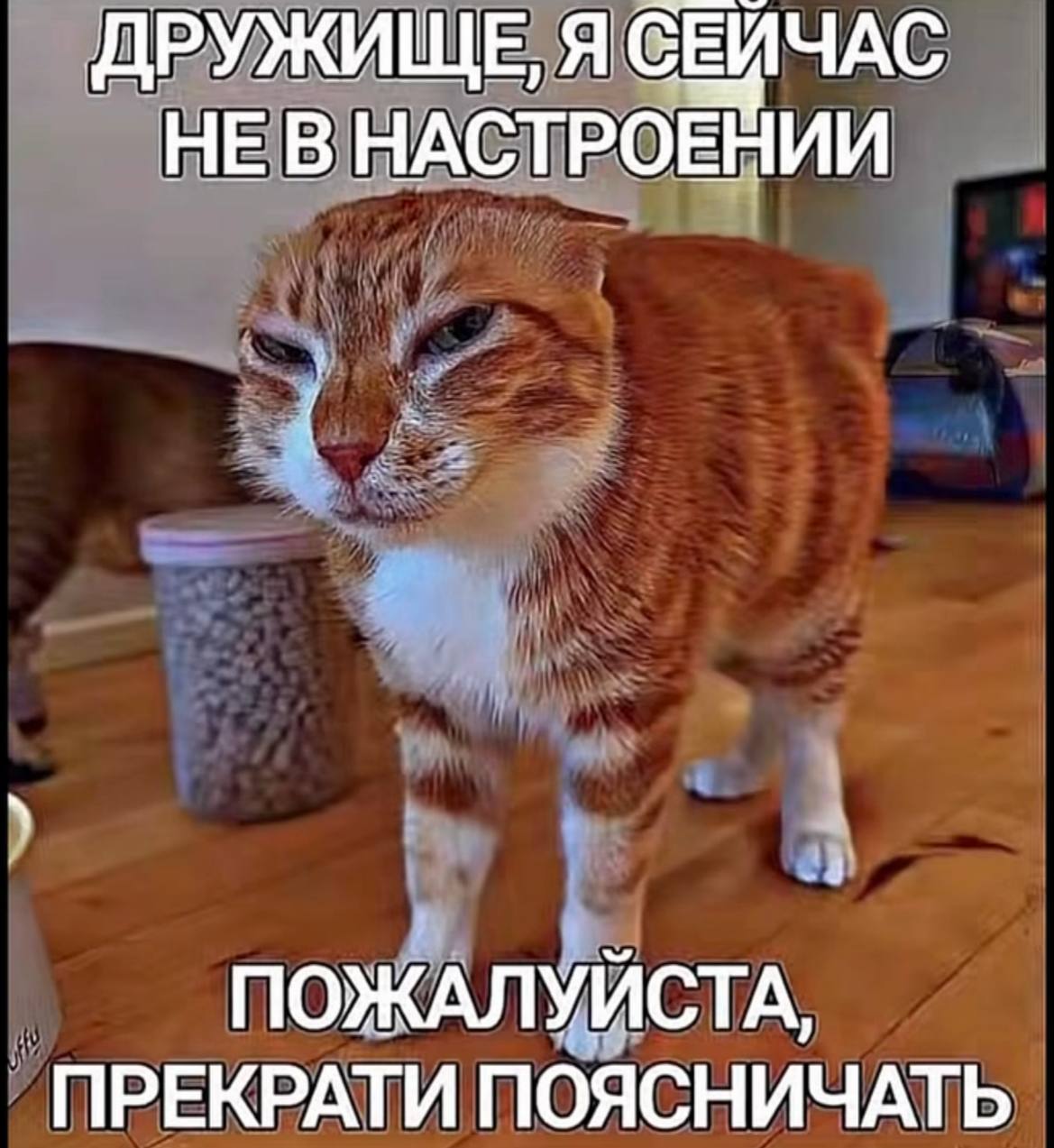ДРУЖИЩЕ, Я СЕЙЧАС НЕВ НАСТРОЕНИИ ПОЖАЛУЙСТА, ПРЕКРАТИ ПОЯСНИЧАТЬ