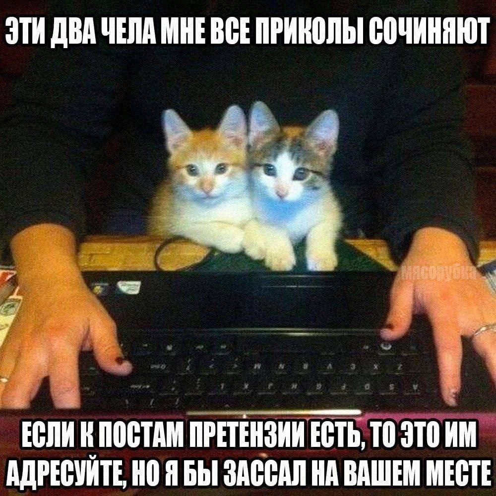 ЭТИ ДВА ЧЕЛА МНЕВСЕ ПРИНОЛЬ СОЧИНЯЮТ ПОСТАМ ПРЕТЕНЗИИ ЕСТЬ, ТО ЭТО АДРЕСУЙТЕ, Я БЫ ЗАССАЛ НА ВАШЕМ МЕСТЕ