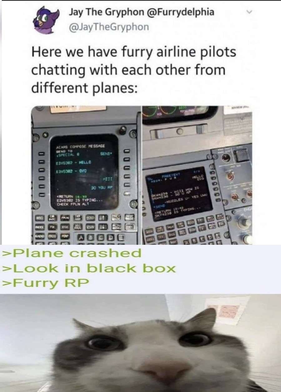 Jay The Gryphon @Furrydelphia @JayTheGryphon Here we have furry airline pilots chatting with each other from different planes: Я RSS >Plane crashed >Look in black box >Furry