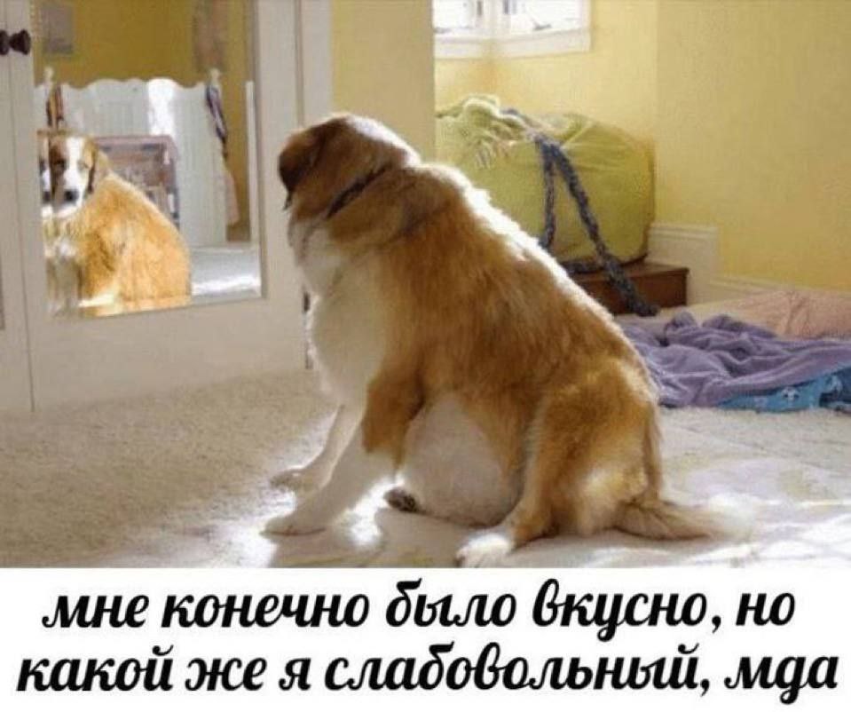 4 мне конечно дыло вкусно, но какой же я сладовольный, мда
