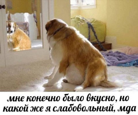 4 мне конечно дыло вкусно, но какой же я сладовольный, мда