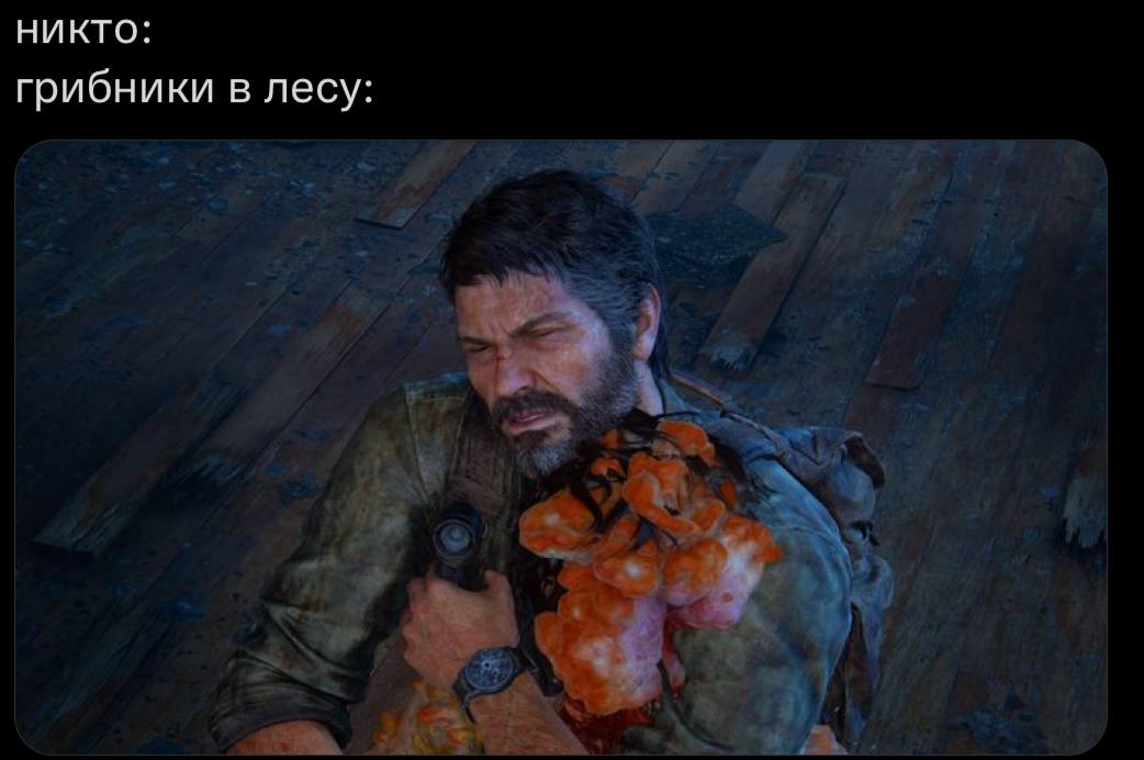 НИКТО: грибники в лесу: