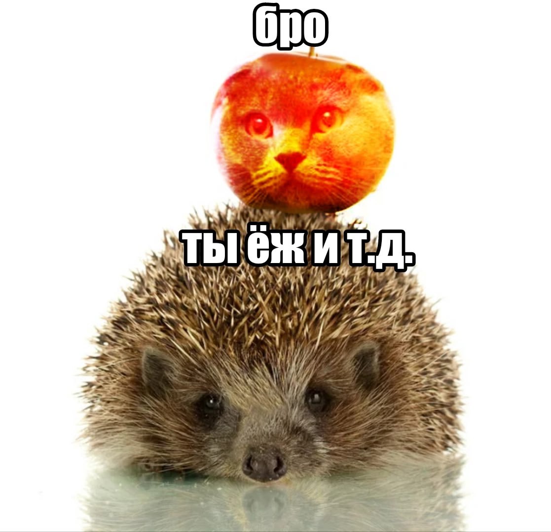 On0 ТЫ 724