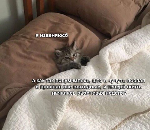 я извеняюсб a у 1 wey а non Hocnan и. проспал все выходные, опять; 3 началась у 4 4 4