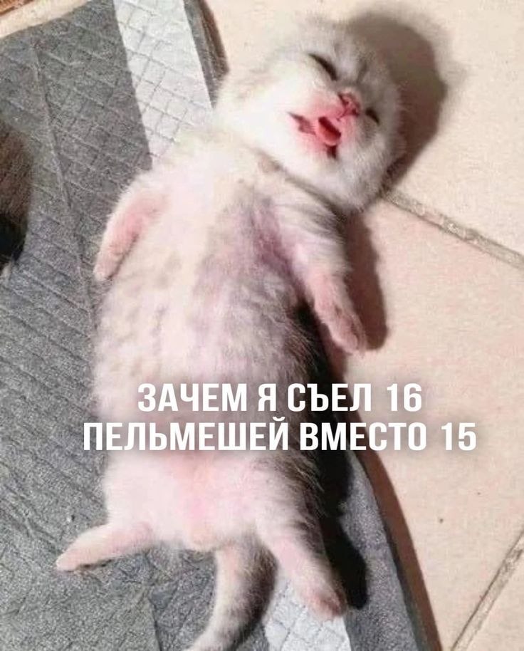 у 9 1 a! Я ЪЕЛ 16 8 TIEJIBME И у у 7 и
