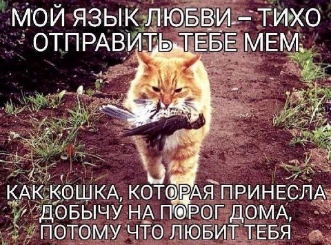 МОИ ЯЗЫК ЛЮБВИ. ТИХО ОТПРАВИТ Бы ЕБЕ MEM ‚4 КАК КОШКА, ПРИНЕСЛА ДОБЫЧУ НА РОГ ДОМА, ПОТОМУ ЧТО ЛЮБИТ ТЕБЯ