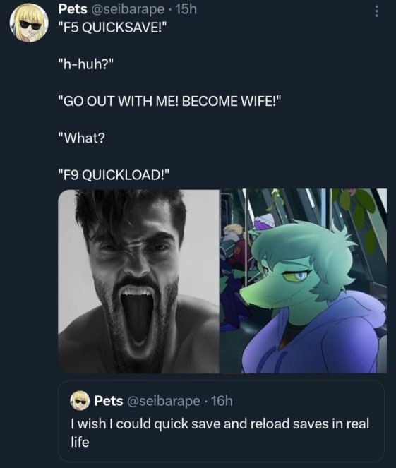 Pets @seibarape QUICKSAVE!" "h-huh?" OUT WITH ME! BECOME WIFE!" "What? QUICKLOAD!" Pets @seibarape wish could quick save and reload saves in real life