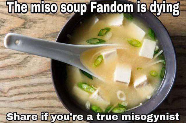 miso soup Fandom is dying Share if you're a true misogynist