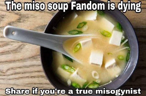 miso soup Fandom is dying Share if you're a true misogynist