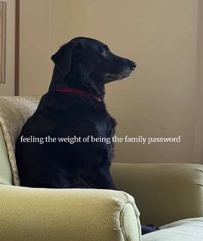 feeling the weight of being the family password