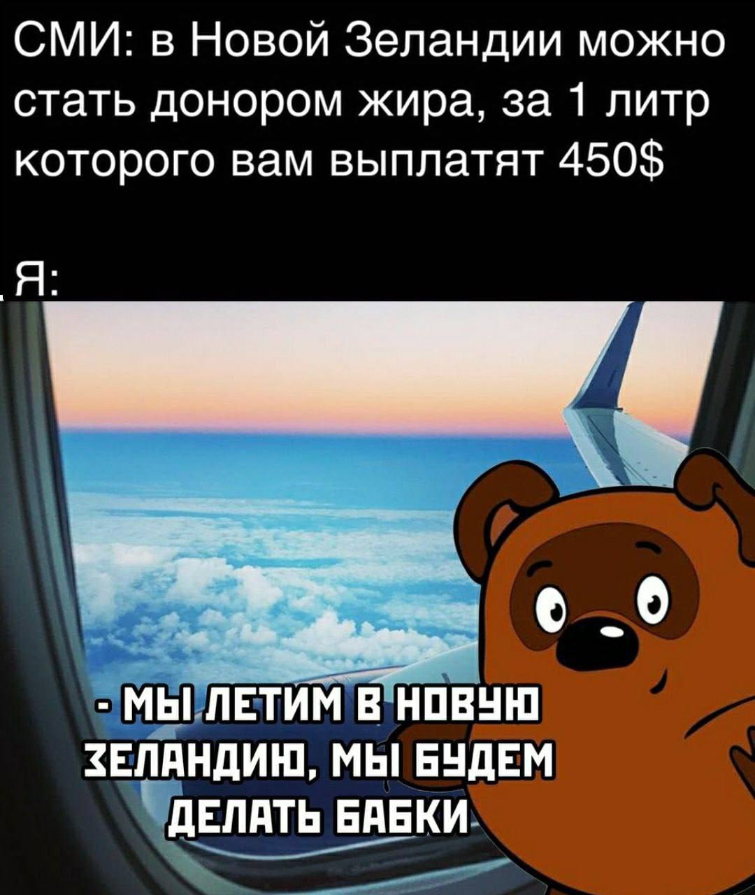 СМИ: в Новой Зеландии можно стать донором жира, за 1 литр которого вам выплатят 450$ Я _0 МЫ ЛЕТИМ В НОВУЮ ЗЕЛАНДИЮ, МЫ БУДЕМ ДЕЛАТЬ БАБКИ