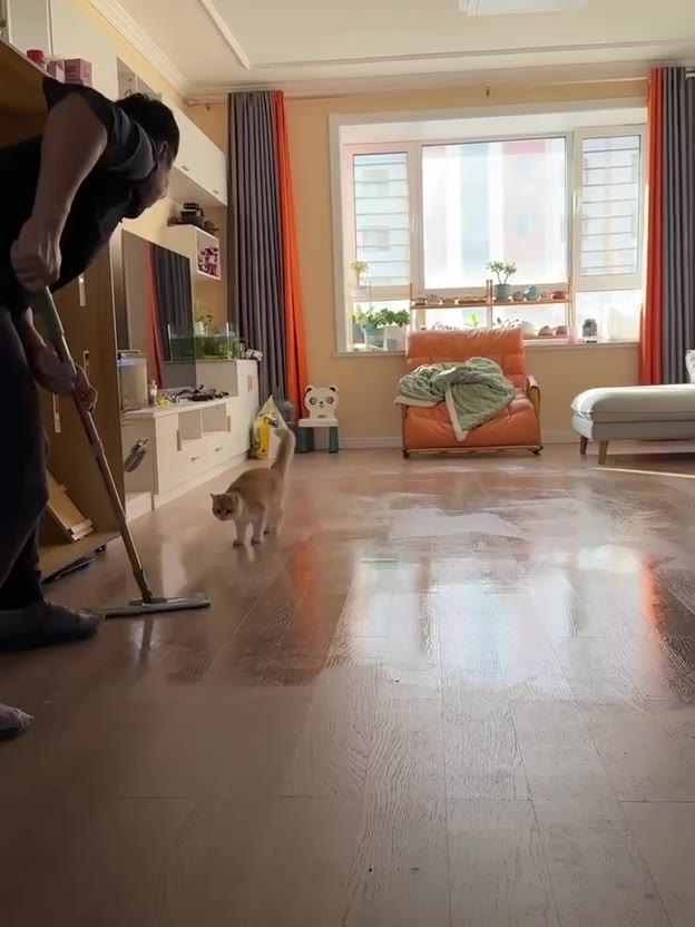 GM🐱

Это я помогаю с уборкой