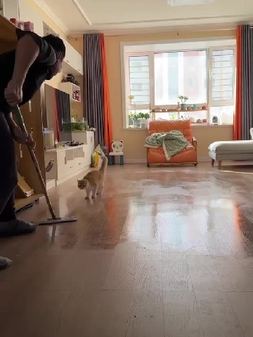 GM🐱

Это я помогаю с уборкой