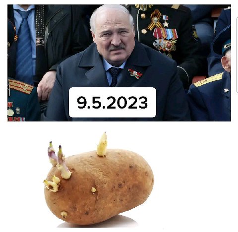 i- 9.5.2023 4