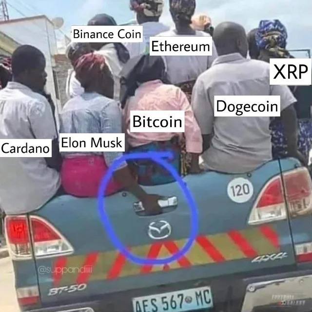 Coin Ethereum Dogecoin 2