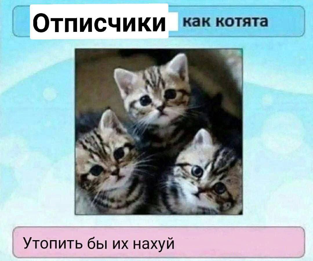 ОТПИСЧИКИ_ Как котята Утопить бы