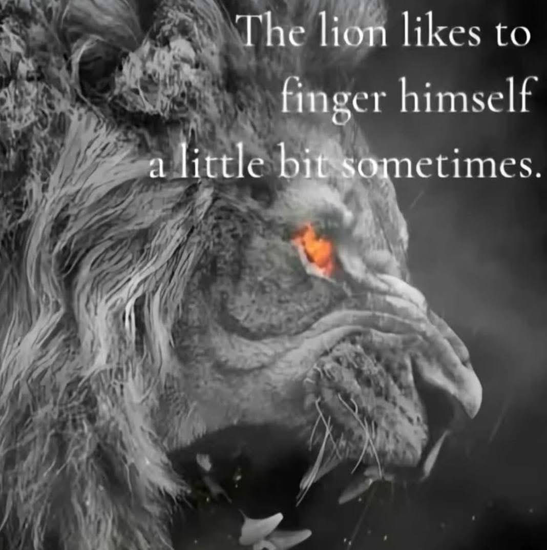 The lion likes to bit sometimes