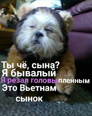 Ты че, сына? a ывал Я резал головыпленным Это Вьетнам СЫНОК