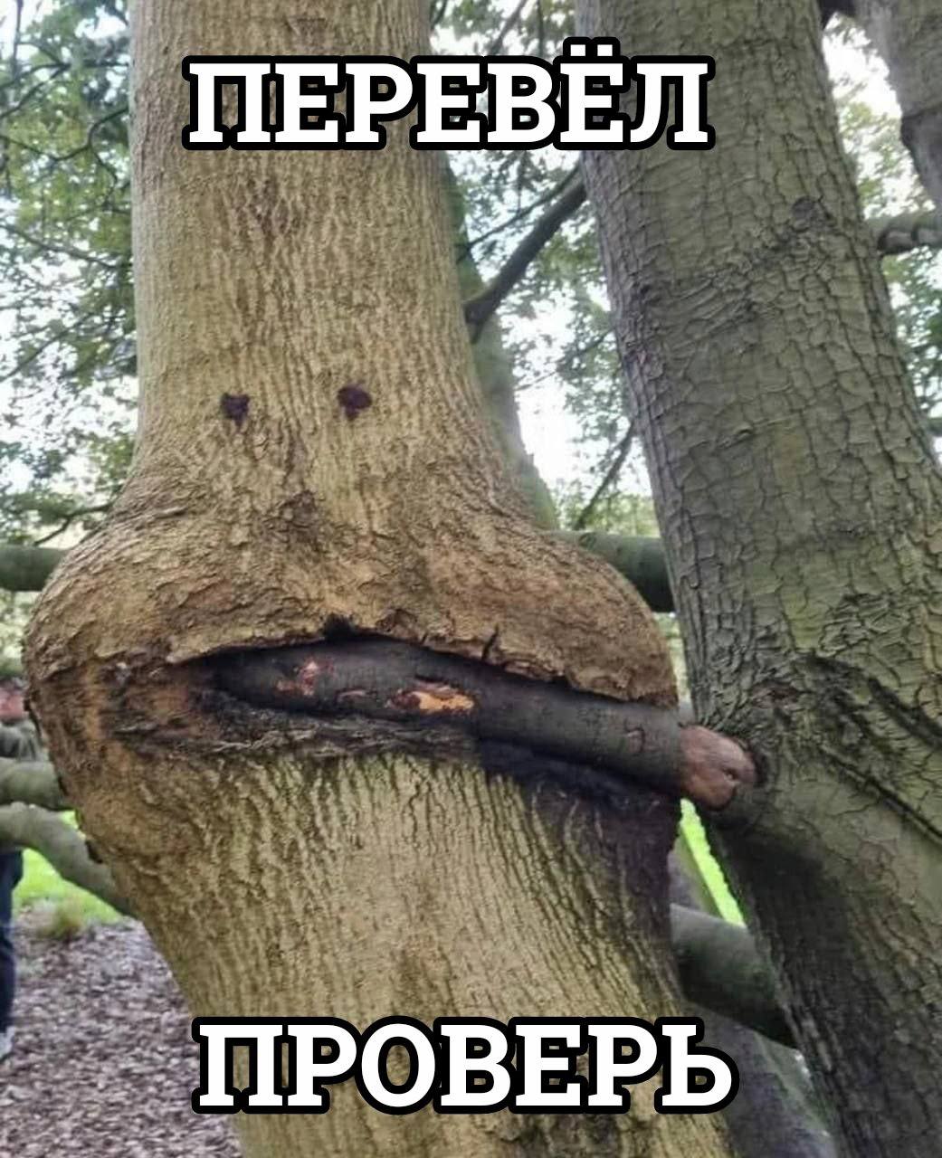 ПРОВЕРЬ