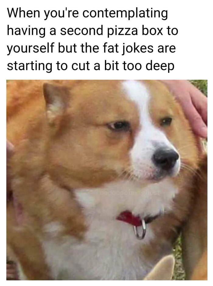 When you're contemplating having a second pizza box to yourself but the fat jokes are starting to cut a bit too deep