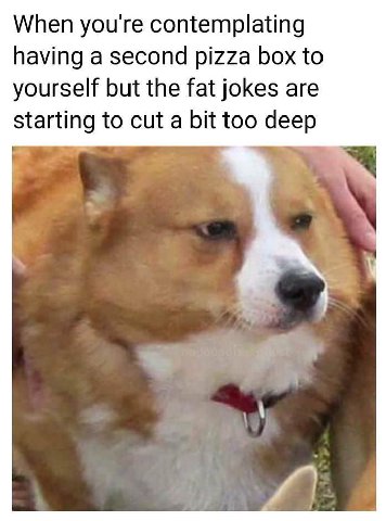 When you're contemplating having a second pizza box to yourself but the fat jokes are starting to cut a bit too deep
