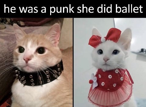 he was а punk she did ballet
