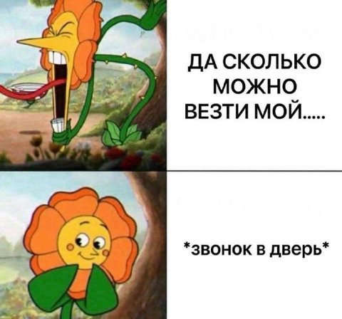 ДА СКОЛЬКО МОЖНО ВЕЗТИ МОЙ *3BOHOK в дверь* to