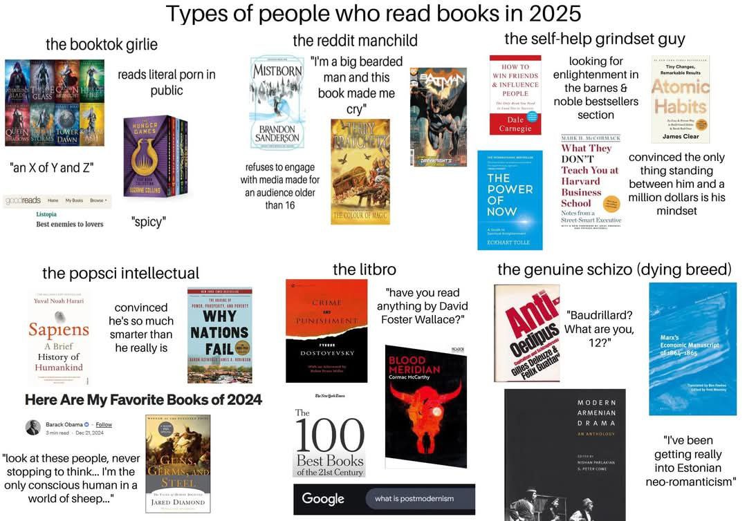 Types of people who read books 2025 the booktok girlie the reddit manchild the self-help grindset guy looking for MISTBORN a big bearded WIN HOW reads literal porn in man and this INFLUENCE enlightenm