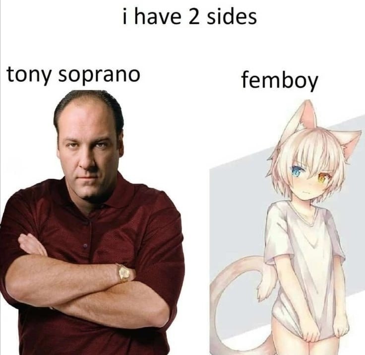 i have 2 sides tony femboy