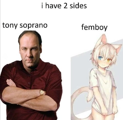i have 2 sides tony femboy