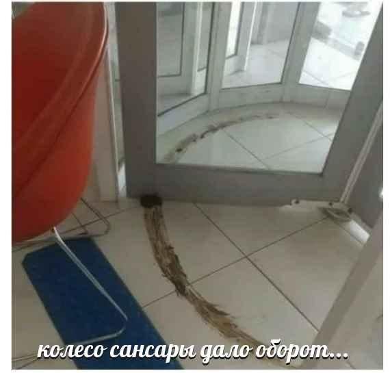 колесо сансары