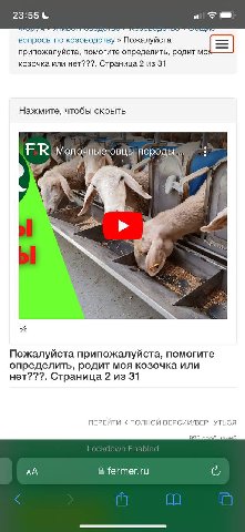 23:55 a вопросы по козоводству Пожалуйста припожалуйста, помогите определить, родит козочка или нет???. Страница 2 из 31 Нажмите, чтобы скрыть Молочныеовцы 4 а 3 Пожалуйста припожалуйста, помогите опр
