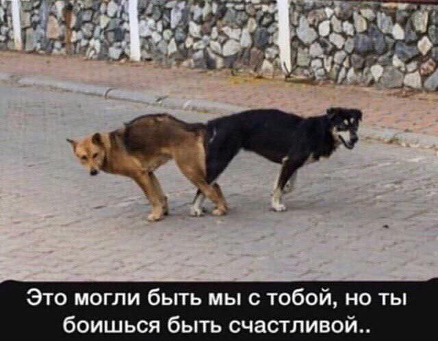 5 Это могли быть с тобои, но ты боишься быть счастливои..