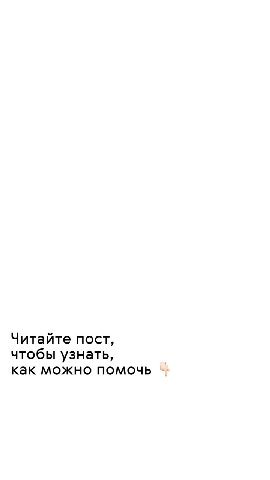 Последний пост в этом году — особенный и важный🕊

Скоро пробьют куранты. Это звук надежды, любви, веры в чудо. Но пока мы за полным столом в окружении близких, в тепле и уюте готовимся к встрече празд