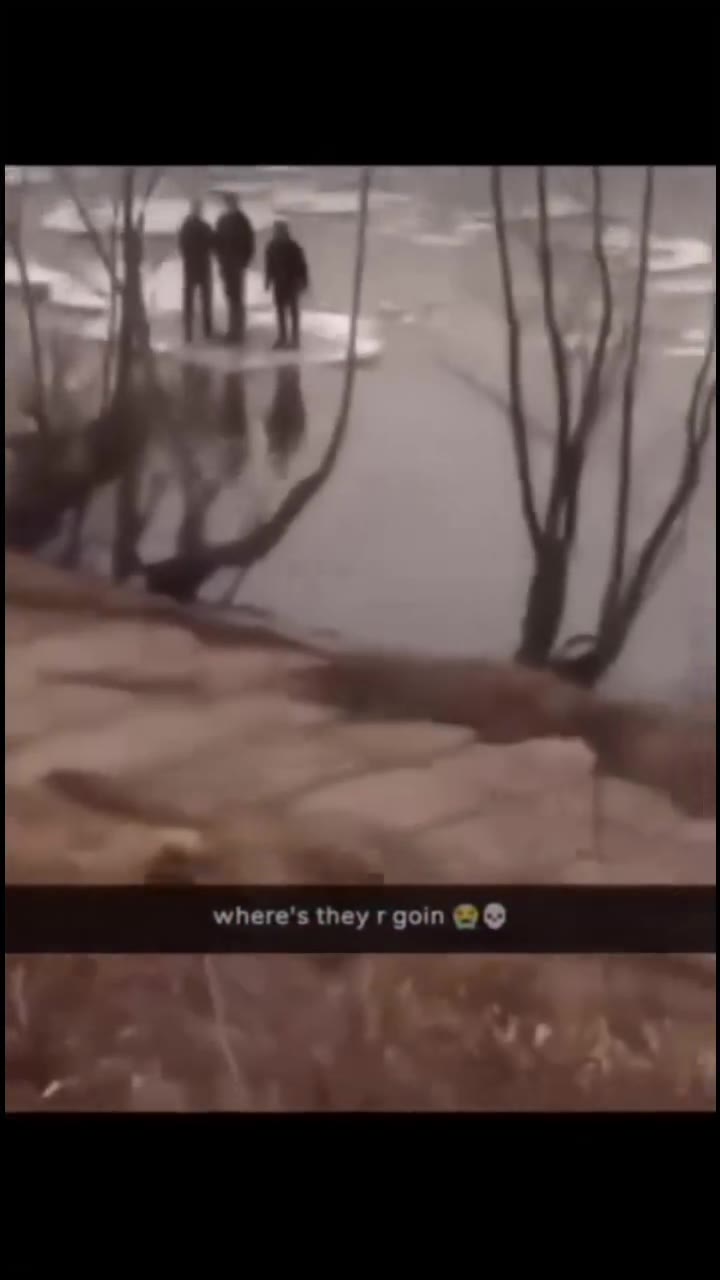where's they rgoin @@