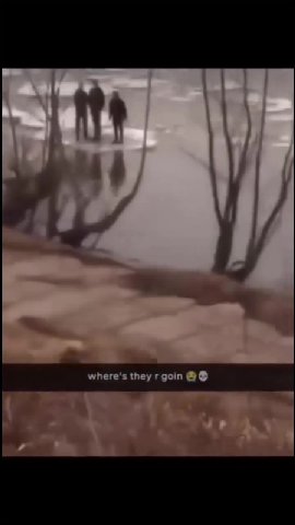 where's they rgoin @@