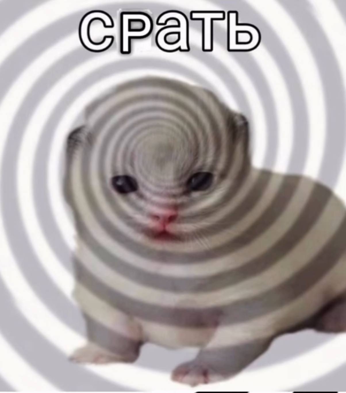 Р a ‚ммм