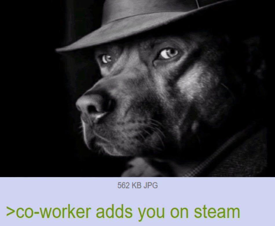562 JPG >co-worker adds you on steam