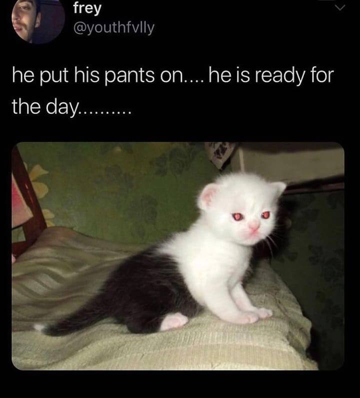 frey he put his pants is ready for the day