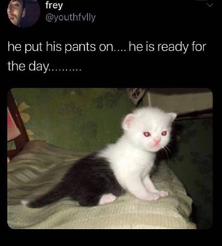 frey he put his pants is ready for the day