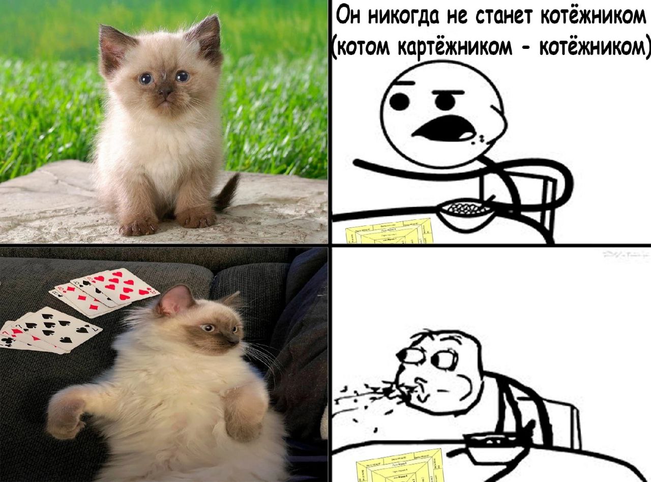 a Он никогда не станет котёжником котом картёжником котёжником) И а