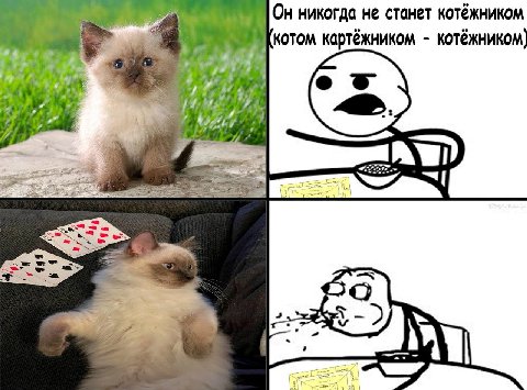 a Он никогда не станет котёжником котом картёжником котёжником) И а