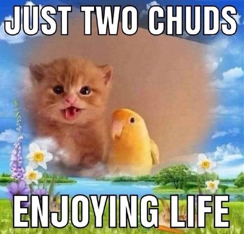 JUST TWO CHUDS