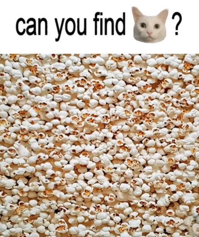 can you find Gos але