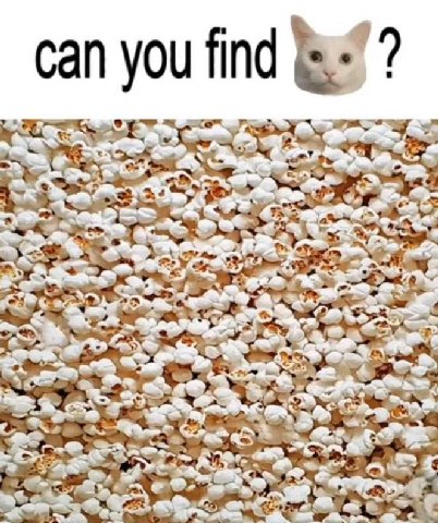 can you find Gos але