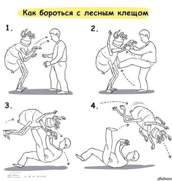 Как бороться с лесным клещом =a (Ree