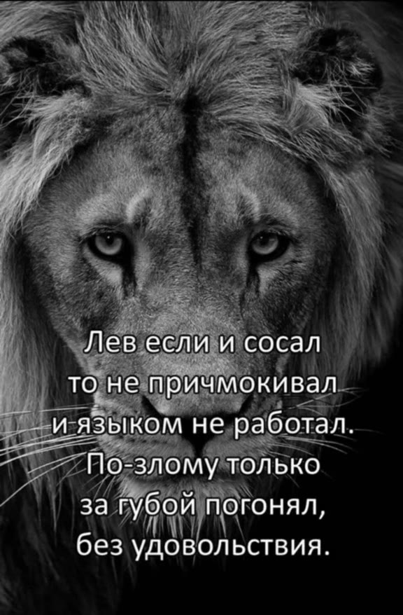 ), ЧДЕЕЕ И сосал 7 У тодне‘причмокивал- ‚_ иязыком не работал. Г © ПОзломуто ЛЬКО за УбОЙ гонял, без удовольствия. ‚ `Левеслй сосал _ тонетричмокивал- р о неработал р BLS SpIKOM не работал. № то He пр