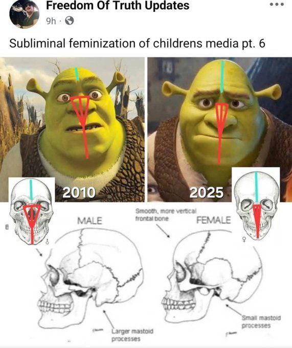 Freedom Of Truth Updates Subliminal feminization of childrens media 6 Ones 20 2025 Smooth, more MALE я FEMALE processes Зтай mastoid Larger mastoid processes